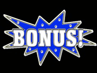 Online casino bonusi